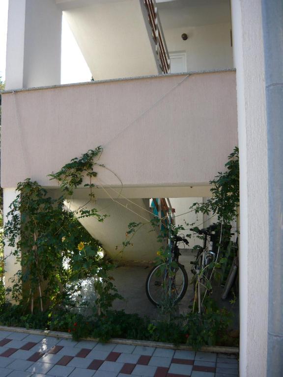 Apartments Dokovic Barbat na Rabu Dış mekan fotoğraf